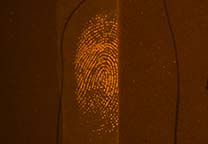 Comparativa fluorescente de 5-MTN