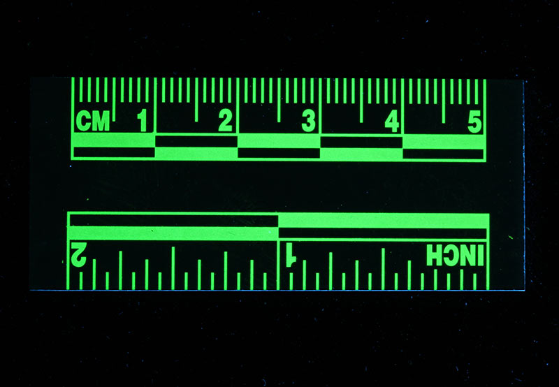 fluorescent rulers 5 cm 2 inch
