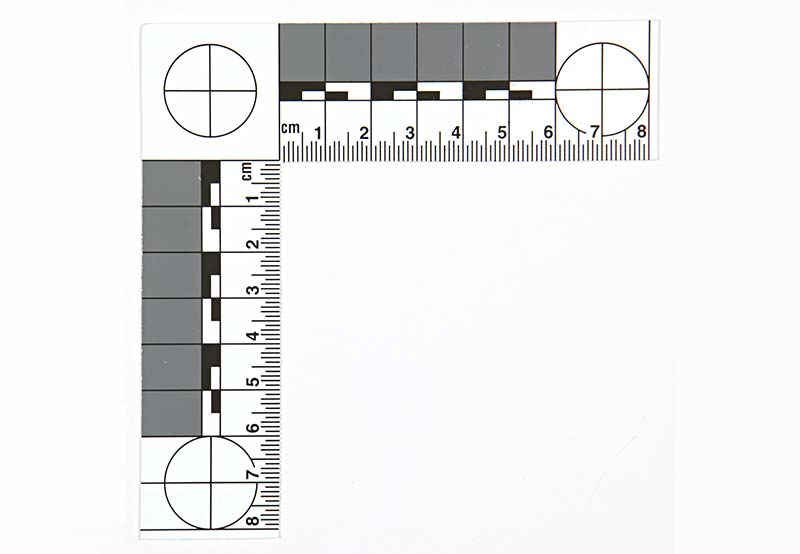 photo ruler