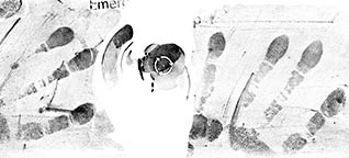 special blower silver